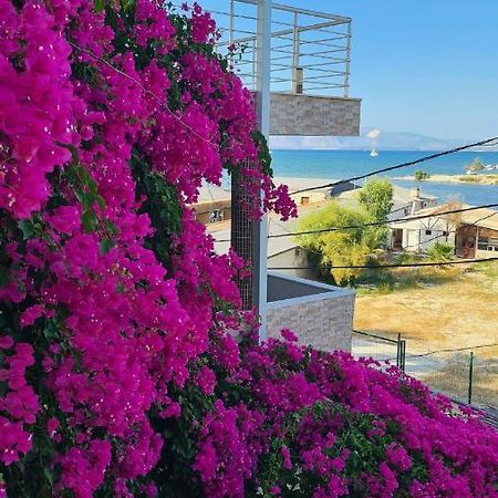 Begonvil Otel Çeşme Exterior photo